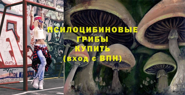 а пвп мука Карпинск