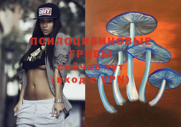 альфа пвп Карталы