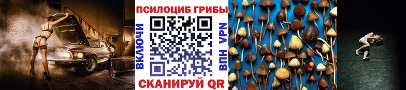 Галлюциногенные грибы Cubensis  Купить  Подпорожье 